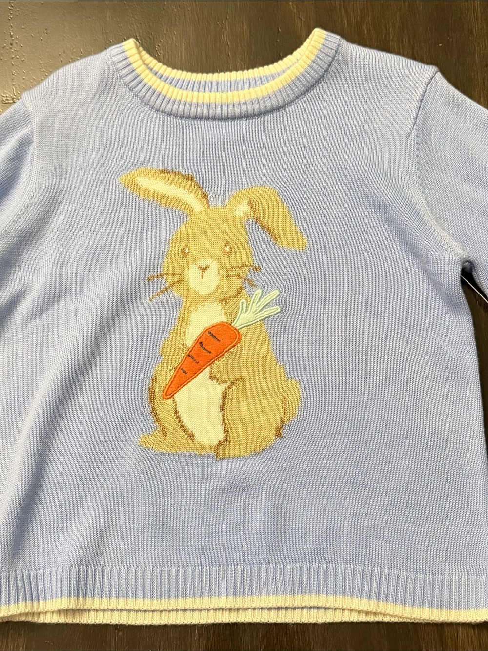 Light Blue Bunny Sweater with Carrot Motif